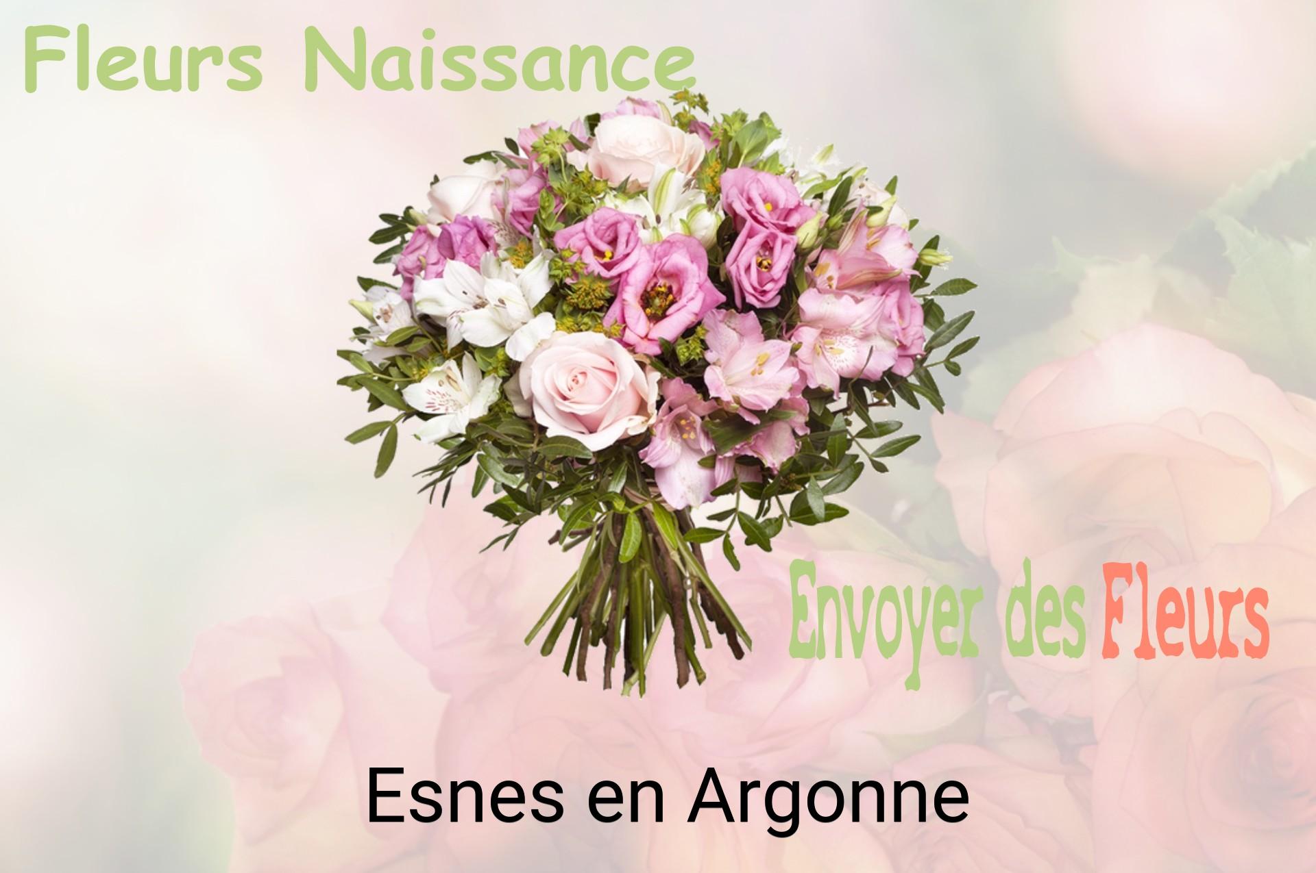 Bouquet de fleurs de naissance livré à Esnes-en-Argonne