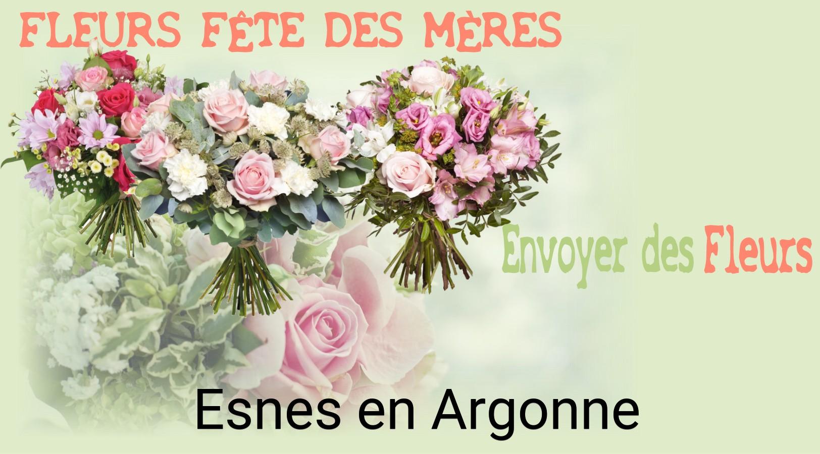 Bouquet de Fête des Mères livré à Esnes-en-Argonne